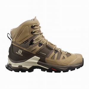 Botas Montaña Salomon QUEST 4 GORE-TEX Hombre Marrones | INZ562431