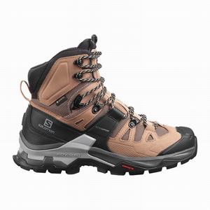 Botas Montaña Salomon QUEST 4 GORE-TEX Mujer Marrones Negras | YAZ214967