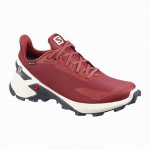 Zapatillas Running Salomon ALPHACROSS BLAST GTX W Mujer Rojas | CHT480356