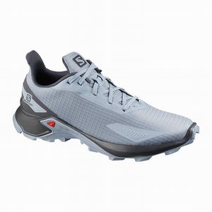 Zapatillas Running Salomon ALPHACROSS BLAST Hombre Gris Azules Gris Azules | LKT219438