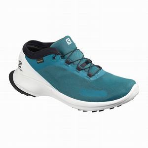 Zapatillas Running Salomon SENSE FEEL GTX Hombre Azules | ZAW430968