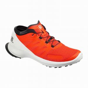 Zapatillas Running Salomon SENSE FLOW Hombre Naranjas | RQP594602