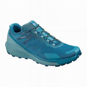 Zapatillas Running Salomon SENSE RIDE 3 Hombre Azules | BSK065837