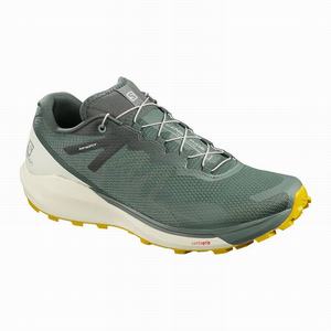 Zapatillas Running Salomon SENSE RIDE 3 Hombre Verde Oliva | JEQ317409