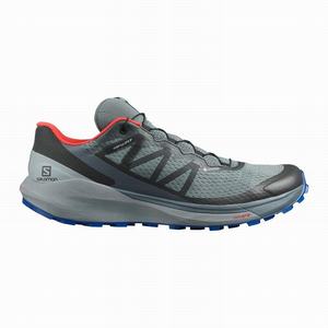 Zapatillas Running Salomon SENSE RIDE 4 GORE-TEX INVISIBLE FIT Hombre Azules Oscuro Negras | HYU5718