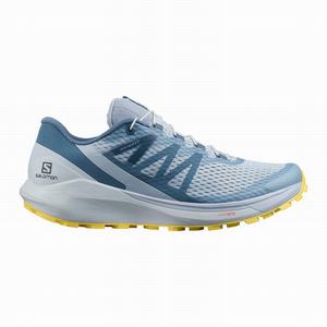 Zapatillas Running Salomon SENSE RIDE 4 Mujer Azules Limón | LRB786304