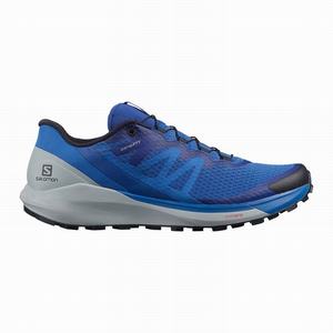 Zapatillas Running Salomon SENSE RIDE 4 Hombre Azules | UKE371642