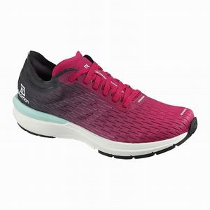 Zapatillas Running Salomon SONIC 3 Accelerate W Mujer Rosas Blancas | LKT698201