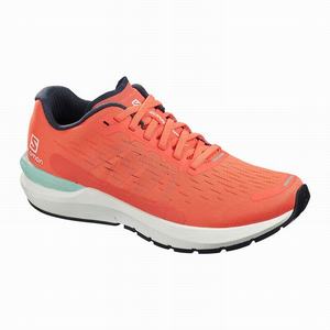 Zapatillas Running Salomon SONIC 3 Balance W Mujer Marrones Blancas | IUV274380