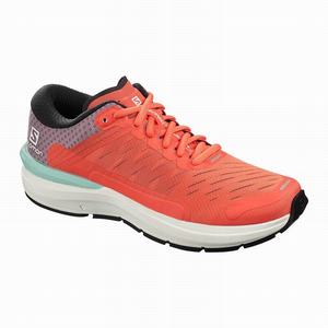 Zapatillas Running Salomon SONIC 3 Confidence W Mujer Marrones Blancas | AJT065732