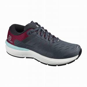 Zapatillas Running Salomon SONIC 3 Confidence W Mujer Gris Blancas | LNU802741