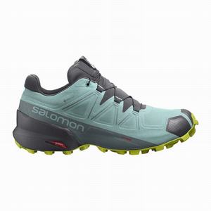 Zapatillas Running Salomon SPEEDCROSS 5 GORE-TEX Mujer Turquesa Gris Oscuro | DFR236904