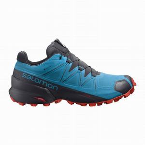 Zapatillas Running Salomon SPEEDCROSS 5 GORE-TEX Hombre Azules Negras | KAE810395