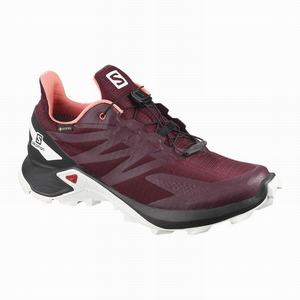 Zapatillas Running Salomon SUPERCROSS BLAST GTX W Mujer Burdeos Negras | KGX385071