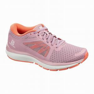 Zapatillas Running Salomon VECTUR Mujer Gris Blancas | XQZ389075