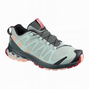 Zapatillas Running Salomon XA PRO 3D v8 Mujer Turquesa Claro Gris | FLV134062