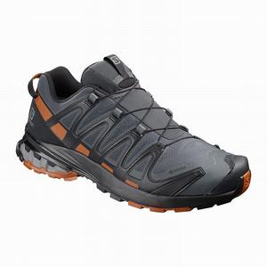 Zapatillas Running Salomon XA PRO 3D v8 GORE-TEX Hombre Azules Oscuro Negras | GKN184237