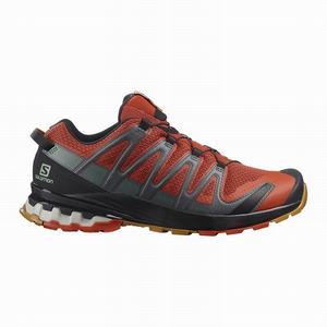 Zapatillas Running Salomon XA PRO 3D v8 Hombre Negras | XAO120596