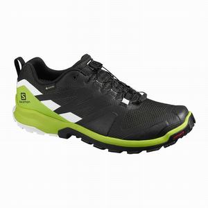 Zapatillas Running Salomon XA ROGG GTX Hombre Rosas | FON389506