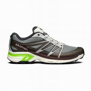 Zapatillas Salomon XT-WINGS 2 Mujer Plateadas Verde | NMW206714