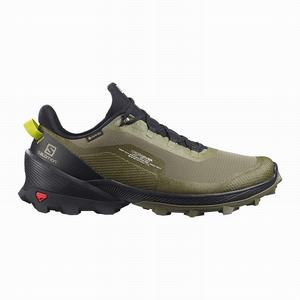 Zapatos De Senderismo Salomon CROSS OVER GORE-TEX Hombre Verde Oscuro Negras | JTF860572