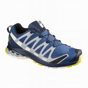 Zapatos De Senderismo Salomon XA PRO 3D v8 GORE-TEX Hombre Azul Marino | NSD475386