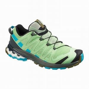 Zapatos De Senderismo Salomon XA PRO 3D v8 Mujer Verde | PRF213876