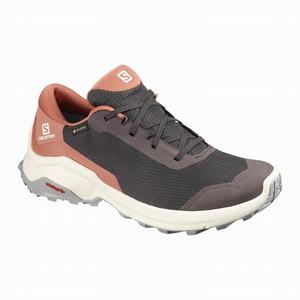 Zapatos De Senderismo Salomon X REVEAL GORE-TEX Mujer Chocolate | WJI049167